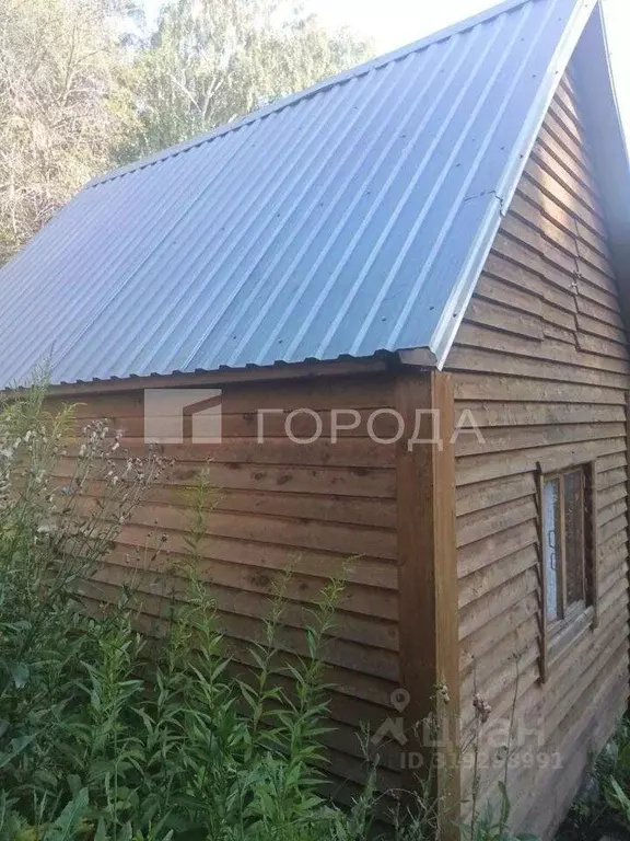 Участок в Новосибирская область, Новосибирский район, Барышевский ... - Фото 1