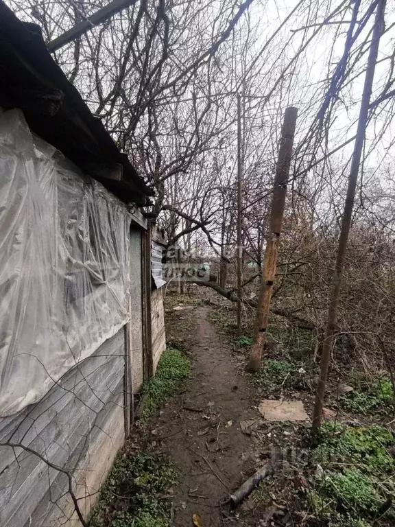 Участок в Краснодарский край, Краснодар Новознаменский ДНТ, ул. ... - Фото 2