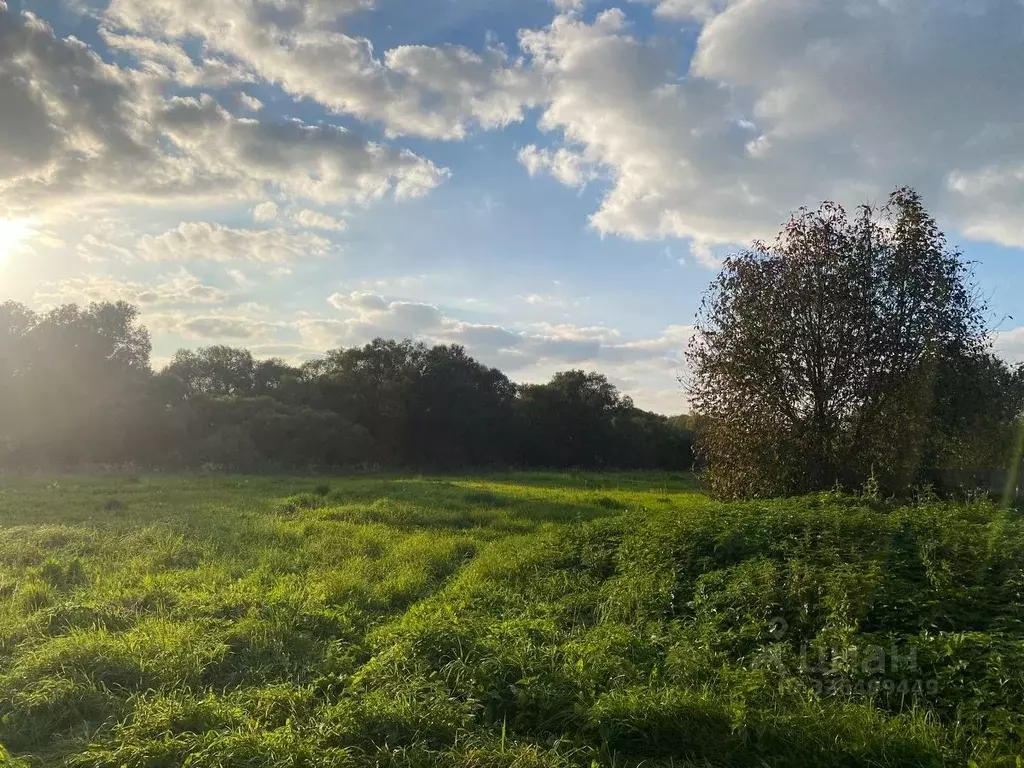 Участок в Тульская область, Заокский район, Малаховское с/пос, д. ... - Фото 2