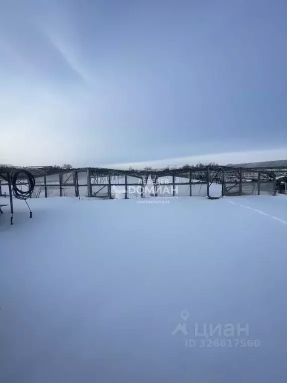 Участок в Ростовская область, Октябрьский район, Кривянское с/пос, ... - Фото 2