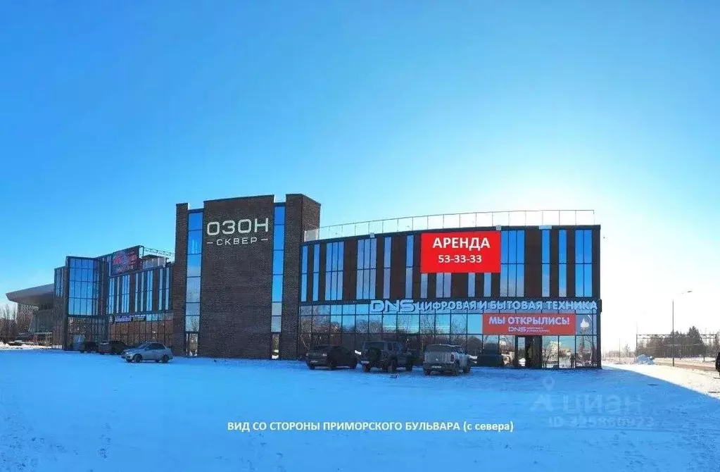 Торговая площадь в Самарская область, Тольятти Революционная ул., 39 ... - Фото 1