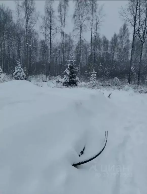 Участок в Ленинградская область, Выборг ул. Сосновый Бор (12.0 сот.) - Фото 2