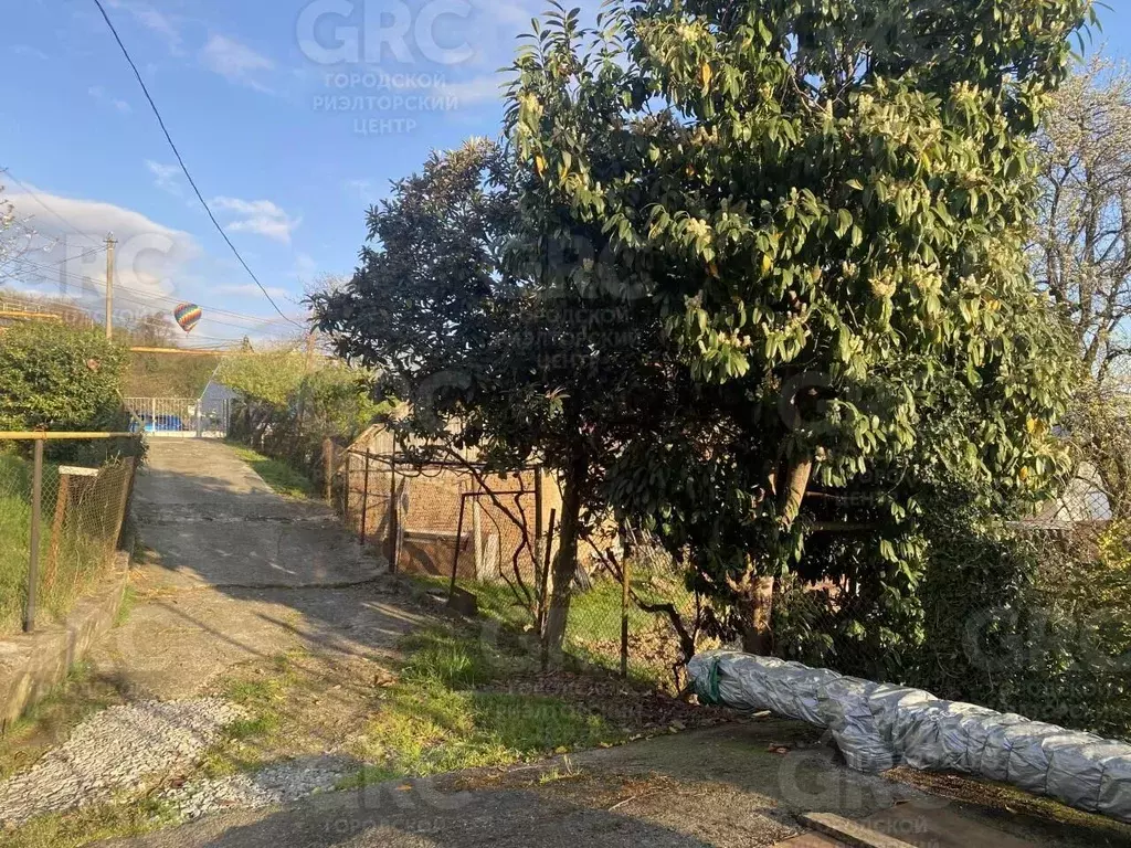 Участок в Краснодарский край, Сочи городской округ, с. Прогресс ул. ... - Фото 1