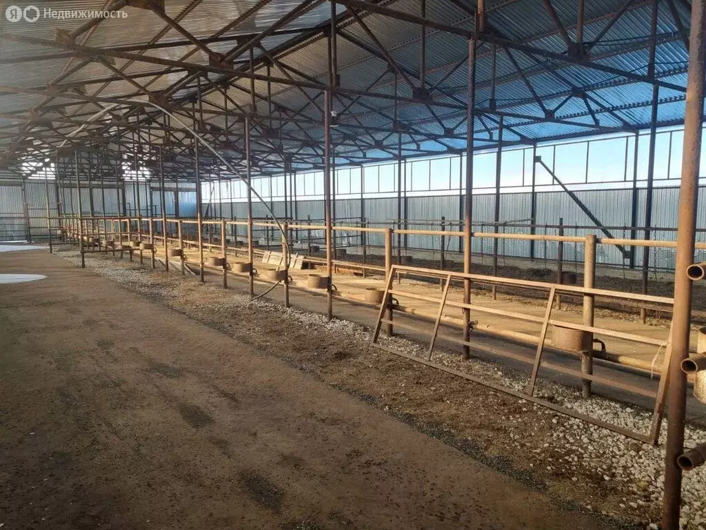 Помещение свободного назначения (850 м) - Фото 0