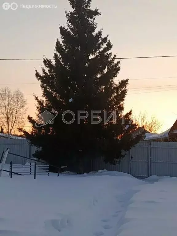 Дом в Тюмень, СНТ Ручеёк, Садовая улица (80 м) - Фото 2