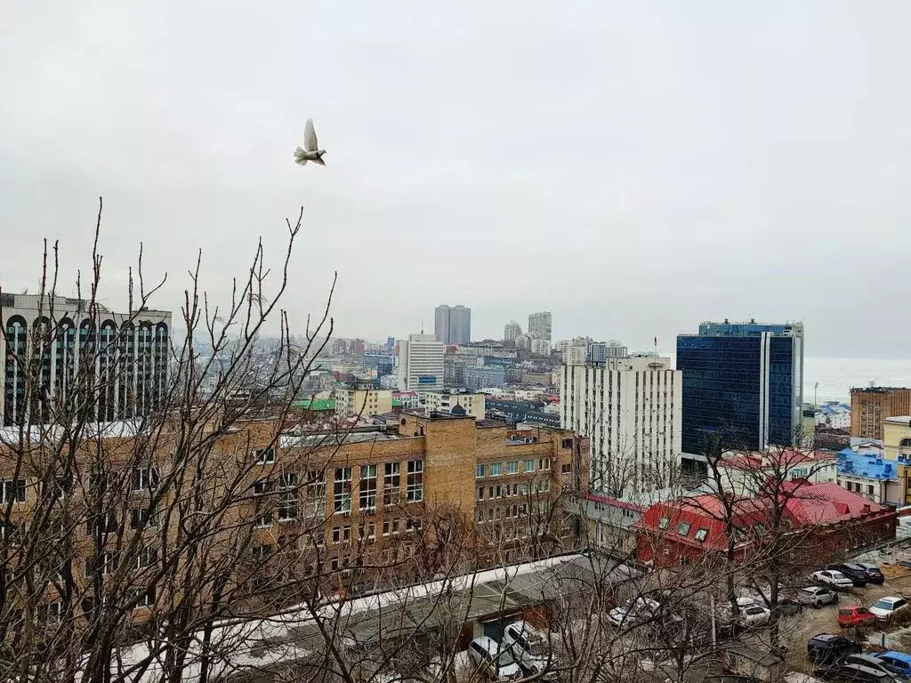 1-к кв. Приморский край, Владивосток Пологая ул., 62А (32.0 м) - Фото 0