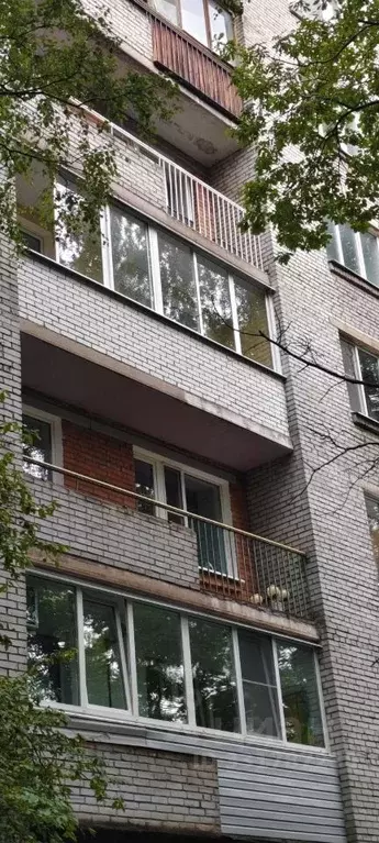 1-к кв. Санкт-Петербург Гданьская ул., 20 (34.6 м) - Фото 1