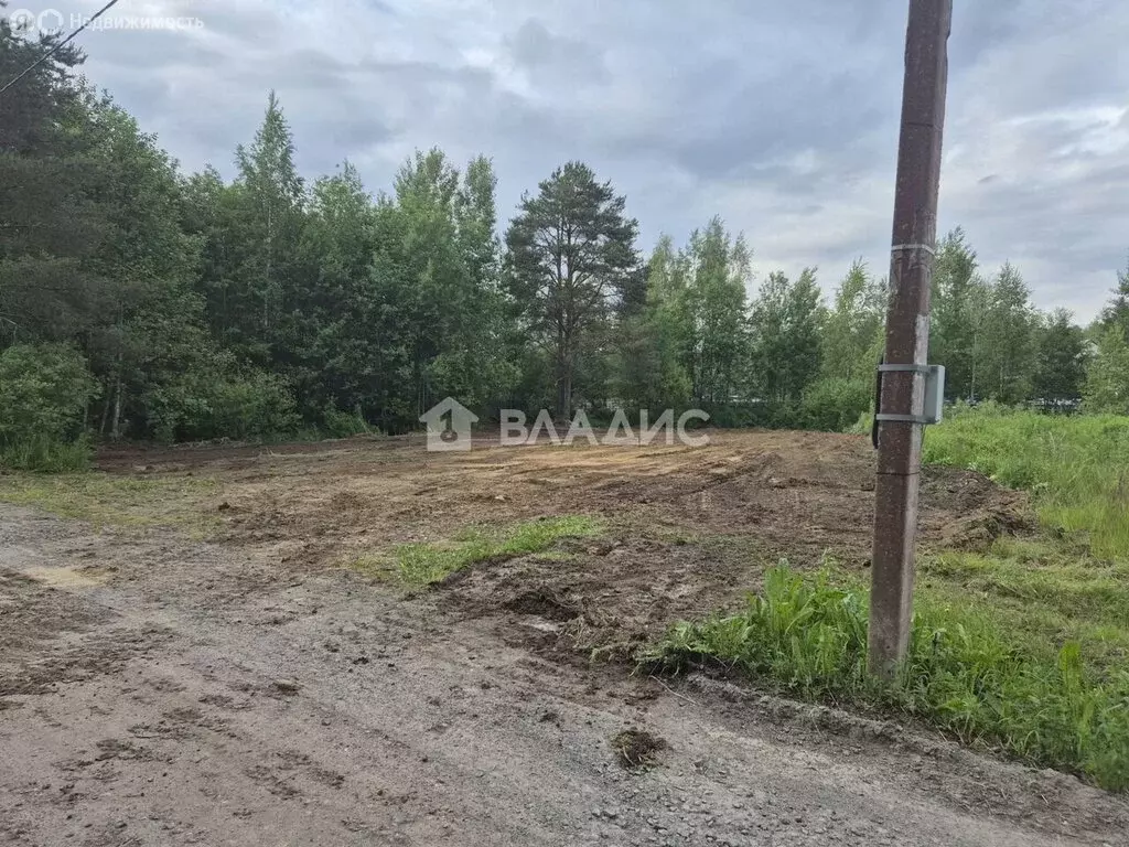 Участок в Рахьинское городское поселение, садоводческий массив Рахья, ... - Фото 1