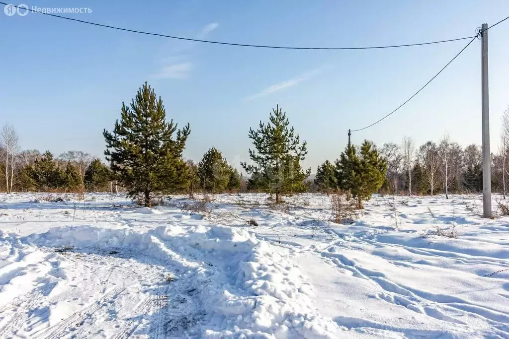 Участок в Искитимский район, село Морозово (15 м) - Фото 1