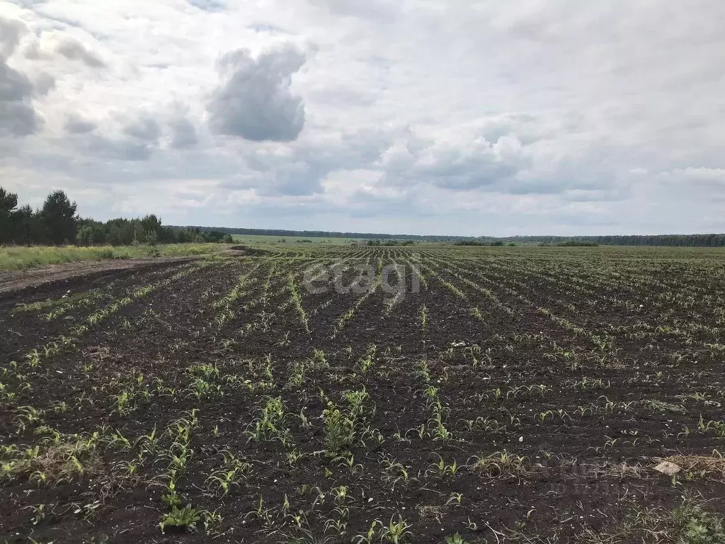 1 300 000 Руб., Участок в село Щелкун, улица Власова (19 м), Купить  земельный участок Щелкун, Сысертский район, ID объекта - 20007352948