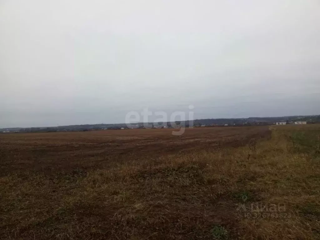 Участок в Курская область, Курский район, Полянский сельсовет, с. ... - Фото 1