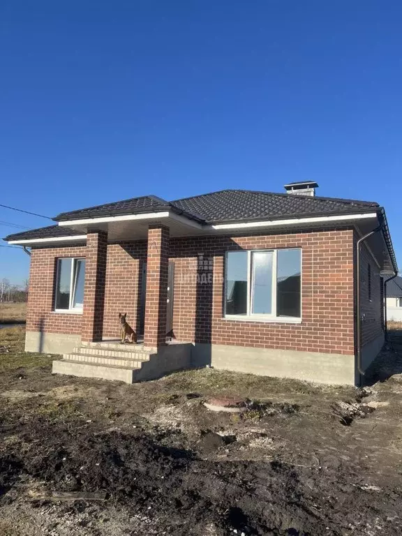 Дом в Воронежская область, с. Новая Усмань ул. Кулибина, 83 (95 м) - Фото 1