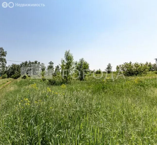 Участок в село Санниково, СНТ Овощевод, Ягодная улица, 2 (5.56 м) - Фото 0