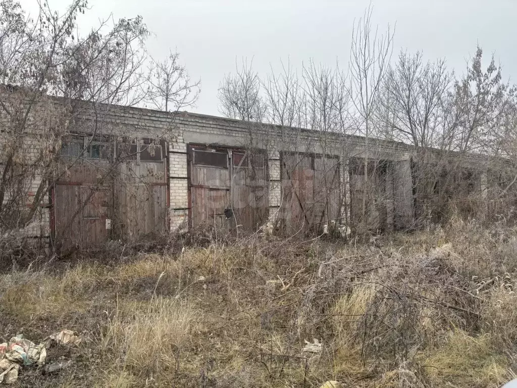 Помещение свободного назначения в Саратовская область, Балашов ул. ... - Фото 1