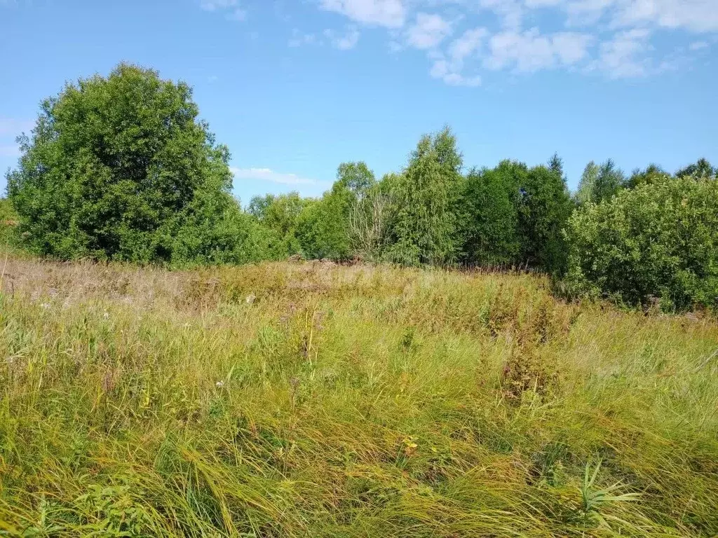 Участок в Вологодская область, Вытегорский район, Оштинское с/пос, д. ... - Фото 1