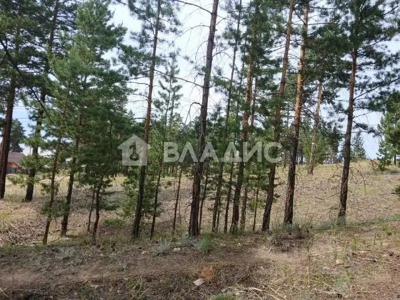 Участок в Бурятия, Улан-Удэ ул. Солбона Ангабаева, 260 (8.0 сот.) - Фото 1