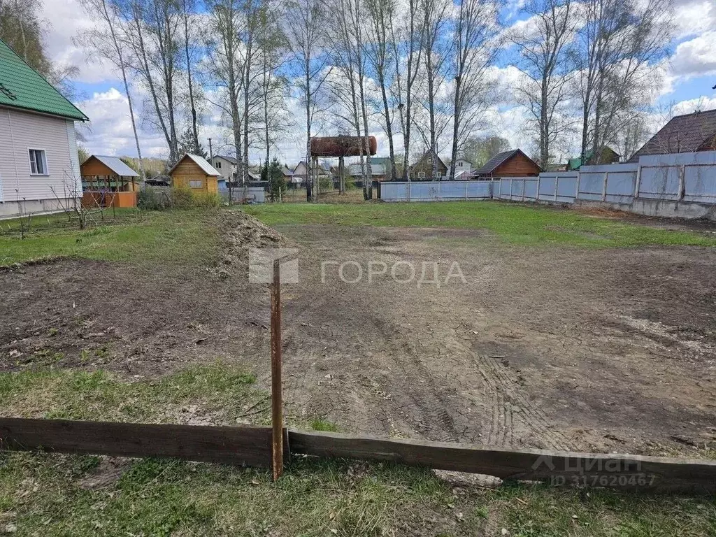 Участок в Новосибирская область, Новосибирский район, Морской ... - Фото 1