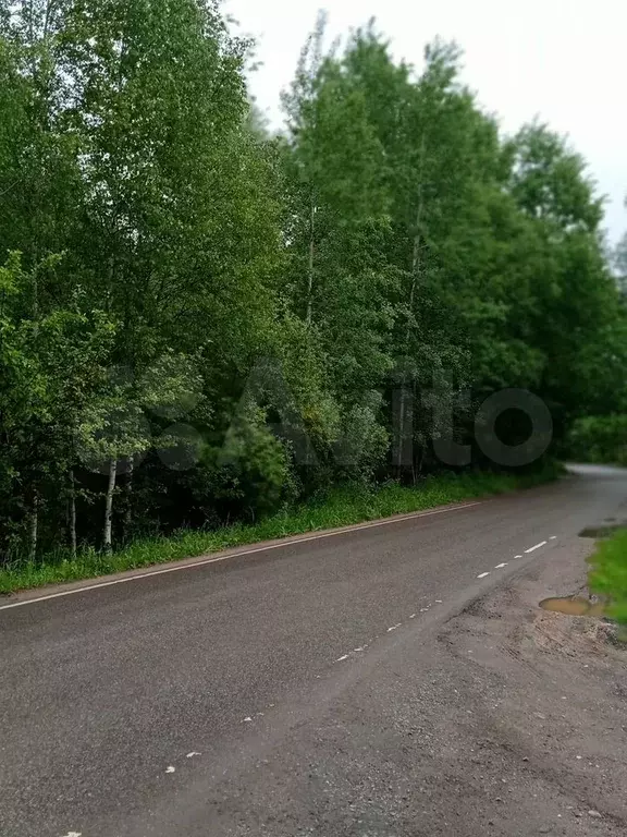 Участок 11,8 сот. (ИЖС) - Фото 0