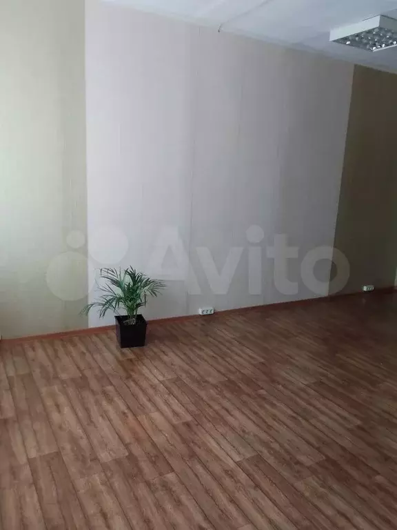 Офис - Фото 0