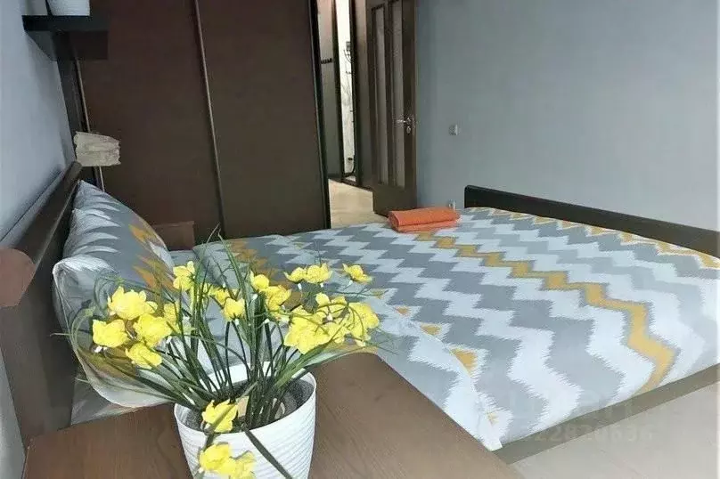 2-к кв. Краснодарский край, Сочи Центральный мкр, ул. Навагинская, 12 ... - Фото 2