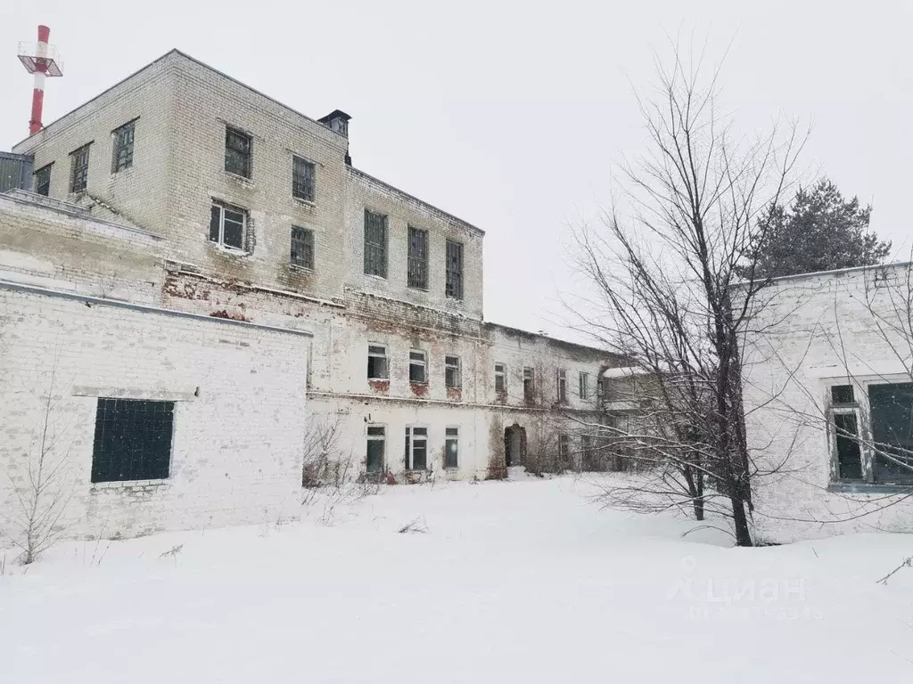 Производственное помещение в Липецкая область, Лебедянь ул. ... - Фото 0