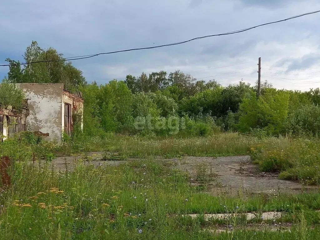 Производственное помещение в Тюменская область, Ишимский район, с. ... - Фото 0