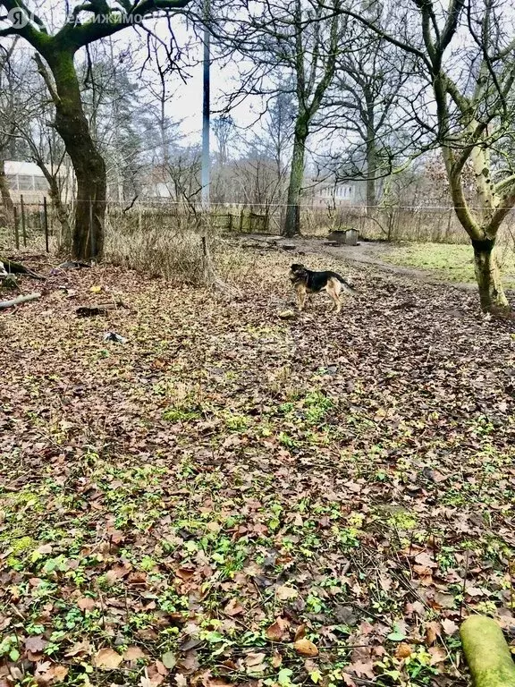 Участок в Калининград, улица Сержанта Бурыхина, 27А (6.34 м) - Фото 2