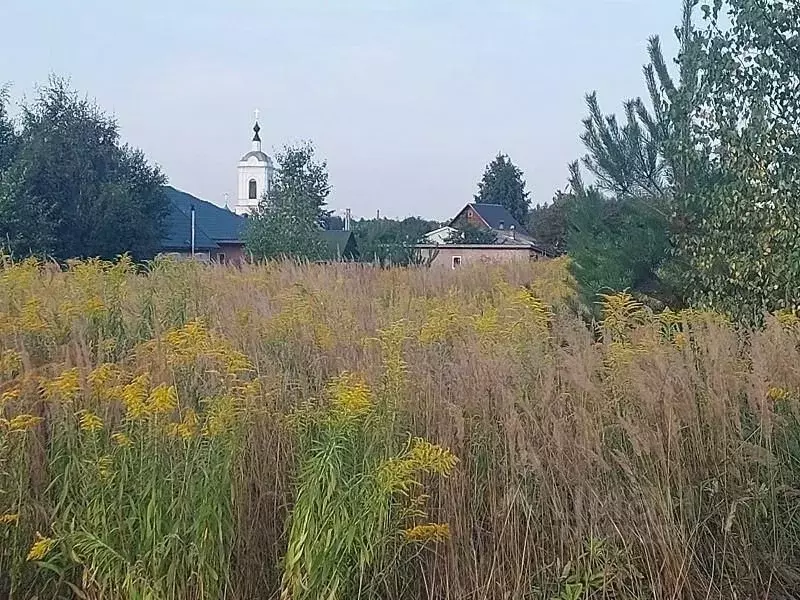 Участок в Владимирская область, Камешковский район, Второвское ... - Фото 0