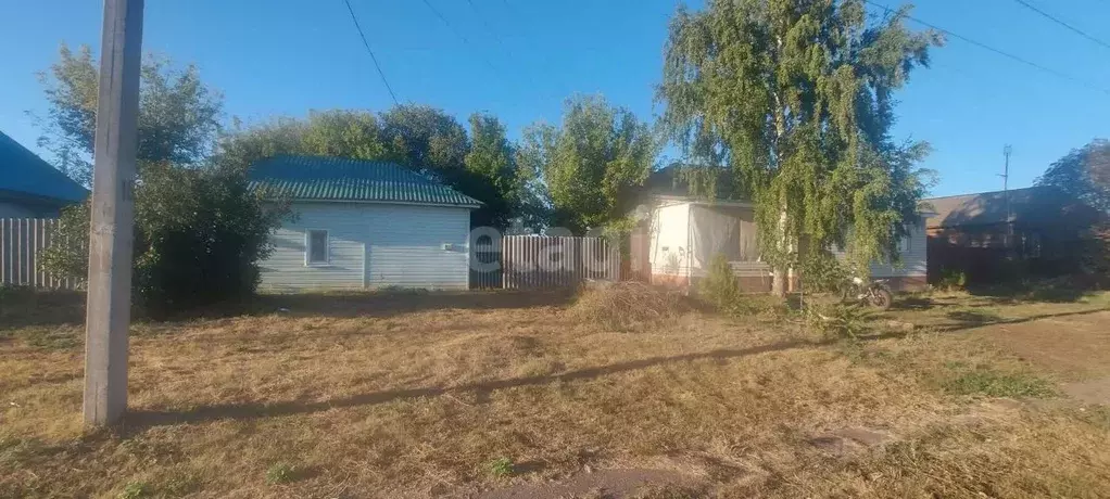 Дом в Воронежская область, Борисоглебский городской округ, с. Чигорак ... - Фото 1