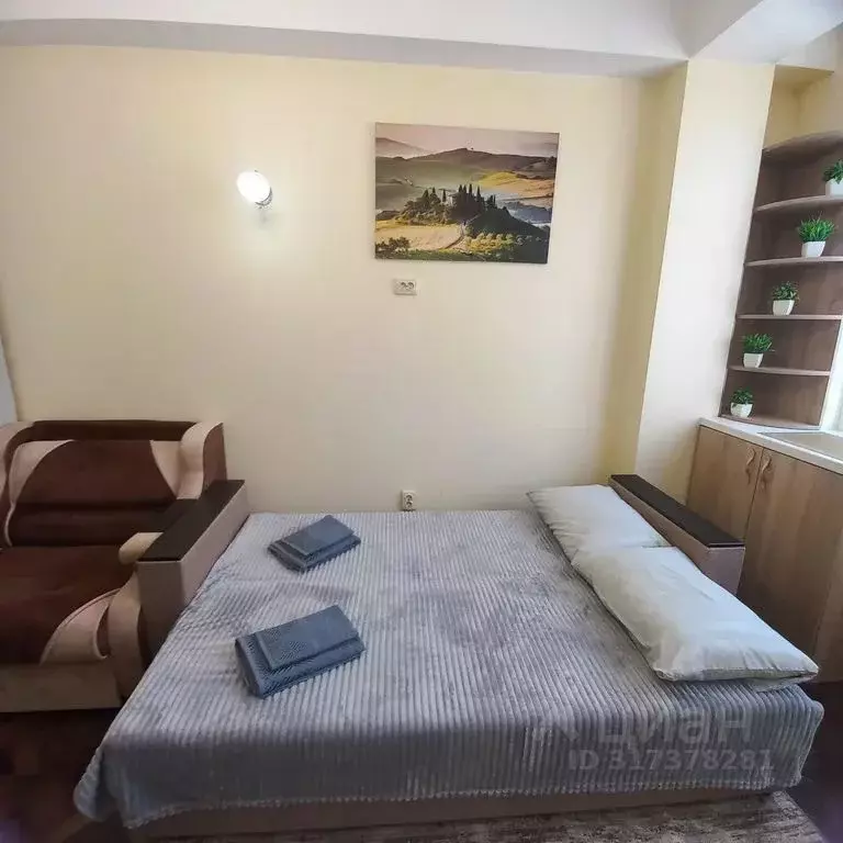 Студия Краснодарский край, Сочи Виноградная ул., 224/11 (20.0 м) - Фото 0