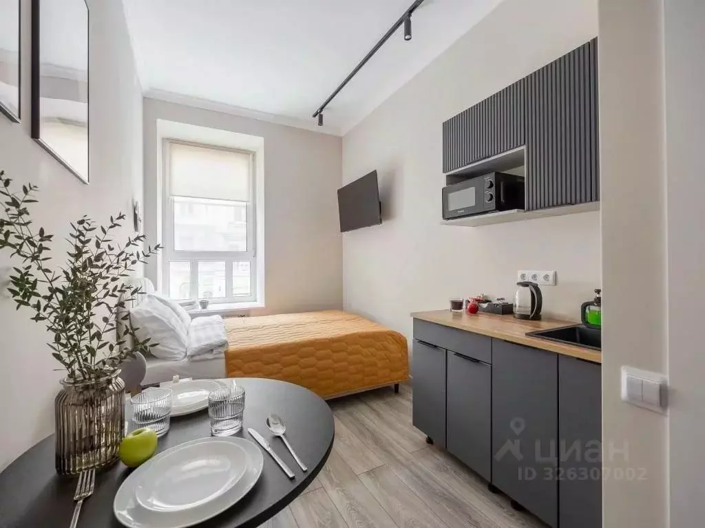 1-к кв. Санкт-Петербург Зверинская ул., 2/5 (15.0 м) - Фото 2