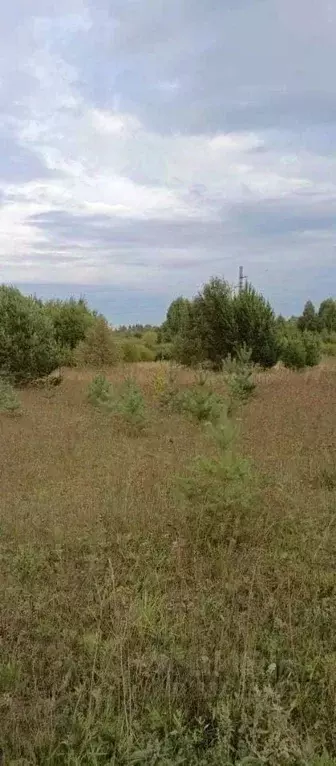Участок в Кировская область, Юрьянский район, Мурыгино пгт Осенняя ул. ... - Фото 1