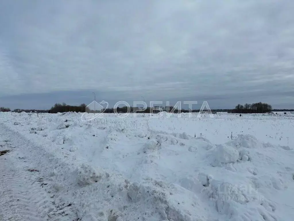 Участок в Тюменская область, Тюменский район, с. Червишево  (7.5 сот.) - Фото 1