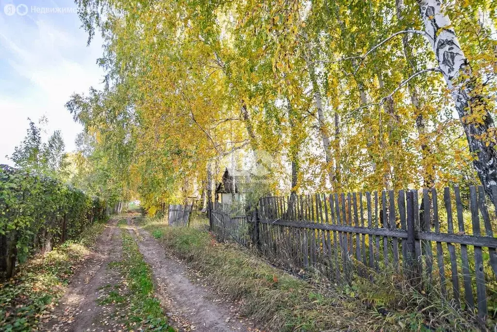 Участок в Бердск, СНТ Ива, 15-я улица, 31 (7.7 м) - Фото 2