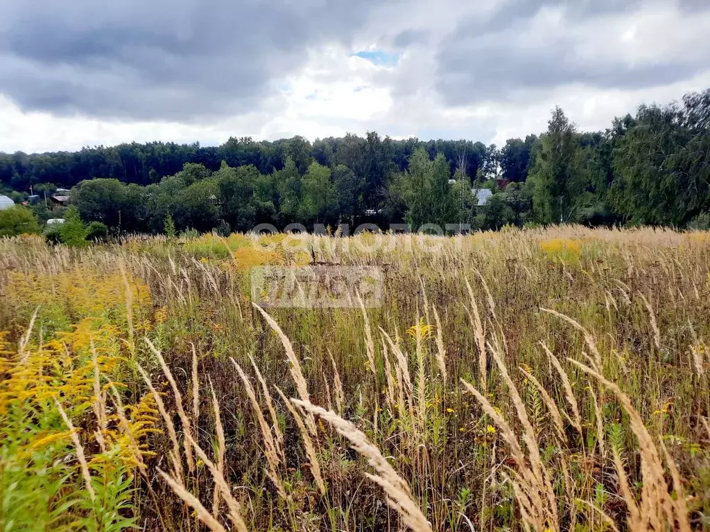 Участок в Московская область, Серпухов городской округ, с. Липицы  ... - Фото 2
