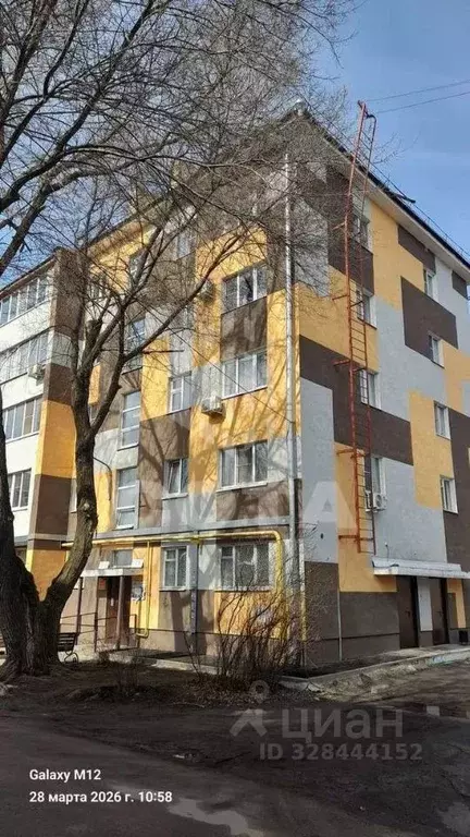 1-к кв. Воронежская область, Нововоронеж ул. Космонавтов, 7 (32.0 м) - Фото 1