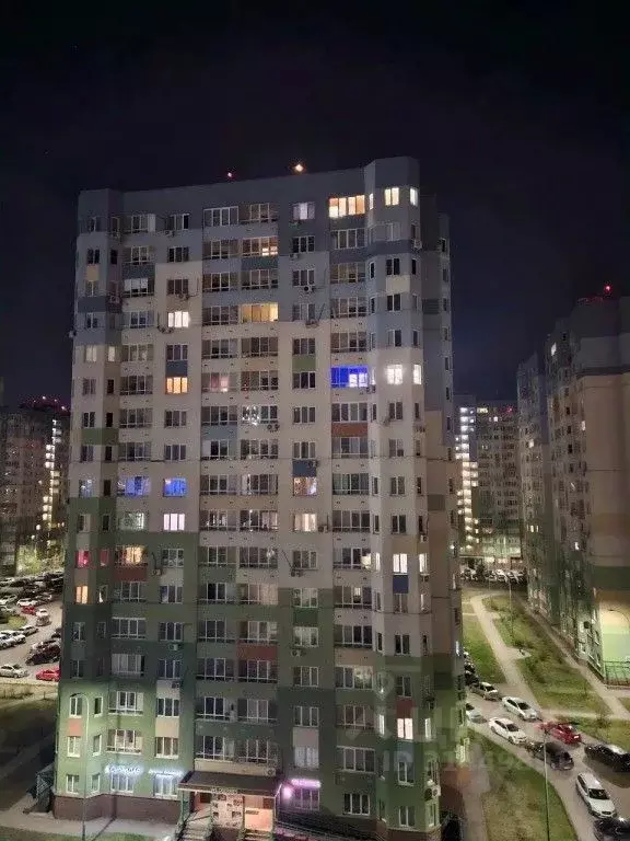 1-к кв. Нижегородская область, Нижний Новгород Мещерское Озеро ... - Фото 1