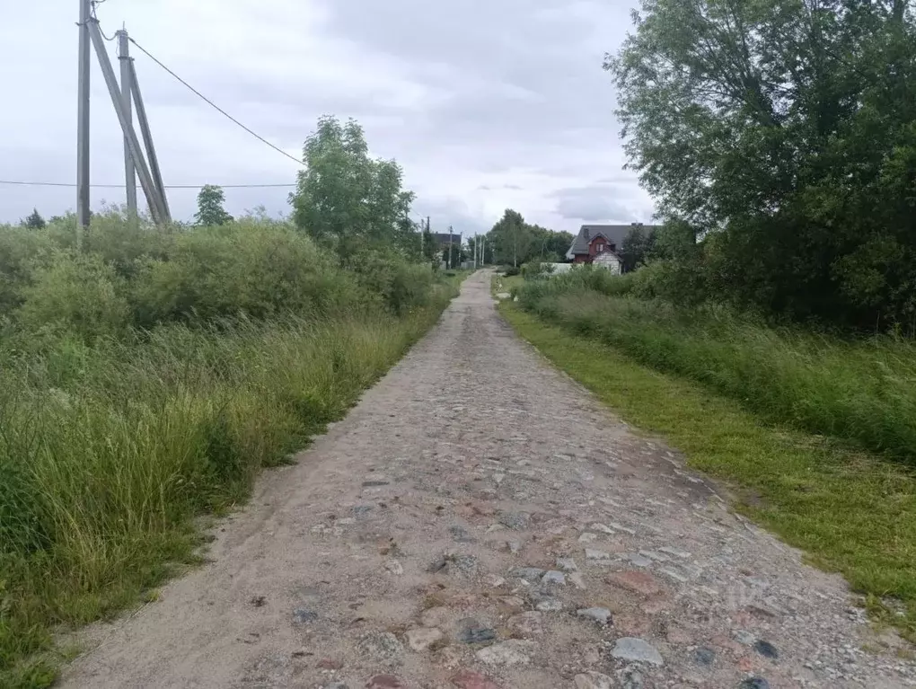 Участок в Калининградская область, Гурьевский муниципальный округ, ТСН ... - Фото 0