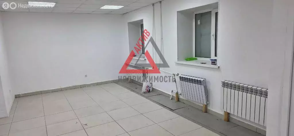 Помещение свободного назначения (54.6 м) - Фото 1
