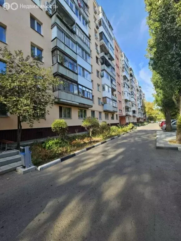 1-комнатная квартира: Саратов, Рябиновская улица, 6 (33 м) - Фото 0