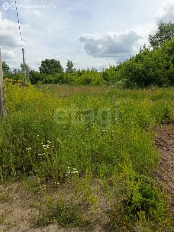Участок в Викулово, улица Автомобилистов (9.1 м) - Фото 0