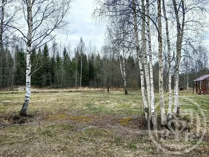 Участок в Ларионовское сельское поселение, СНТ Кротово (11.35 м) - Фото 1