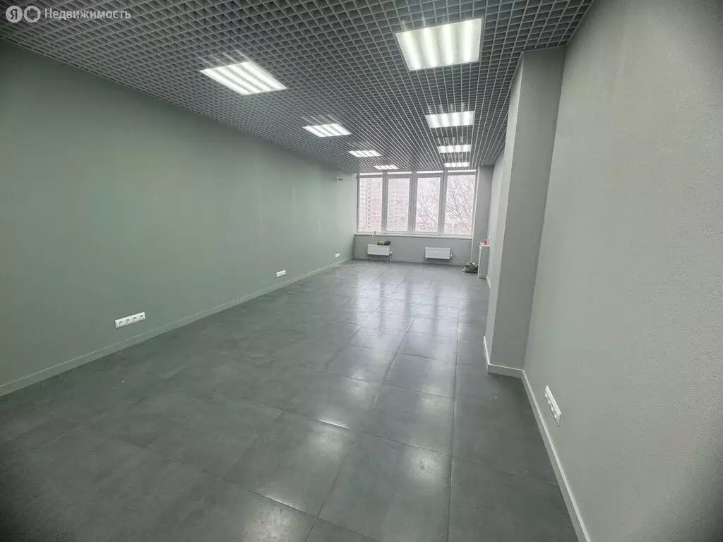 Помещение свободного назначения (41 м) - Фото 1