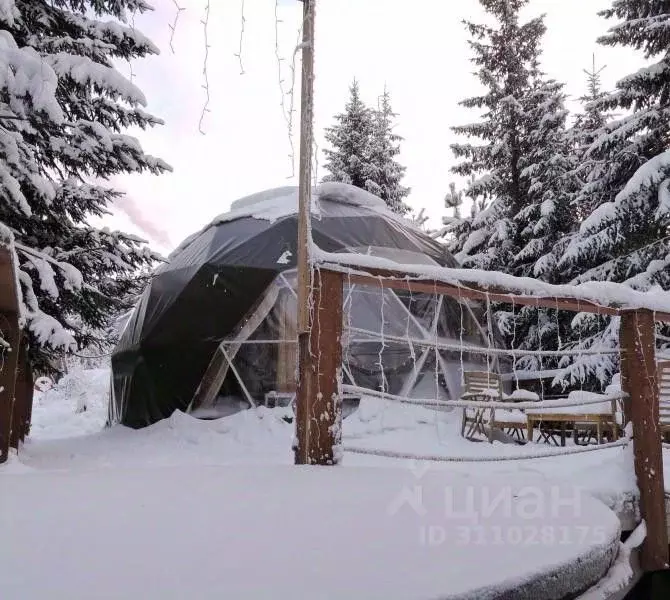 Дом в Свердловская область, Нижний Тагил городской округ, пос. Уралец ... - Фото 1