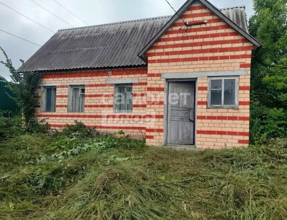 Дом в Липецкая область, с. Доброе ул. Ленина, 149 (50 м) - Фото 1