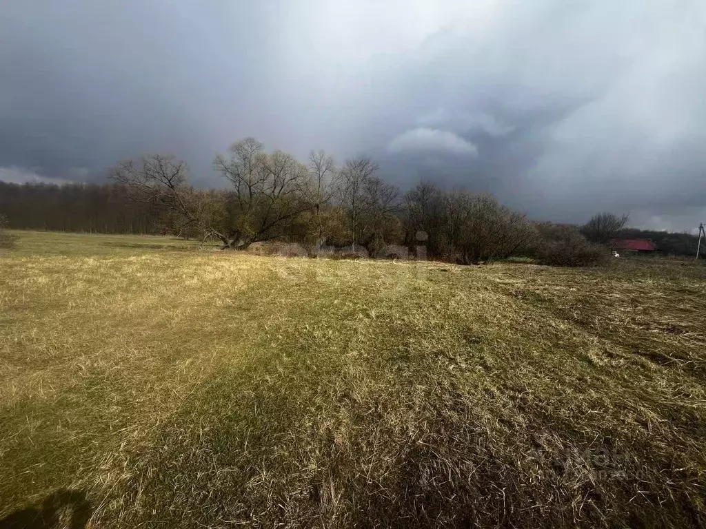 Участок в Воронежская область, Рамонский район, Ступинское с/пос, с. ... - Фото 1
