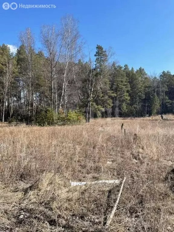 Участок в Миасс, СНТ Дачный (10 м) - Фото 2