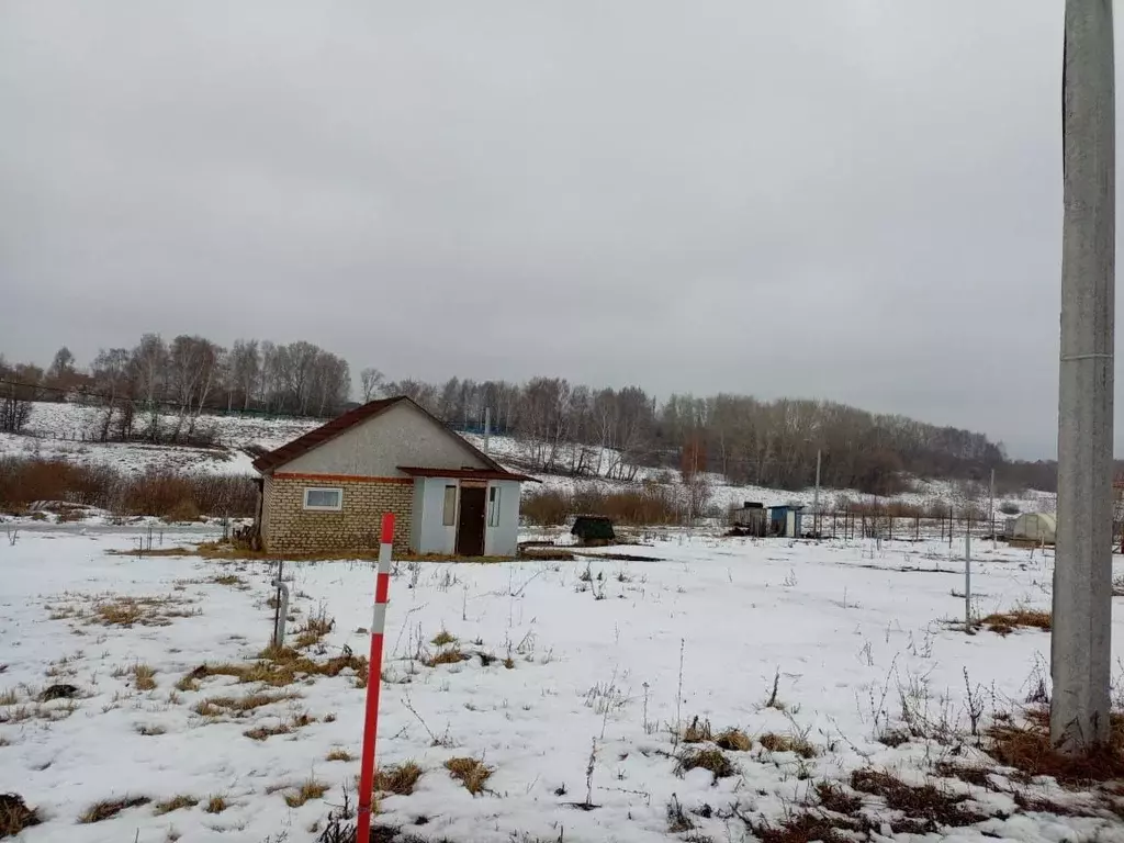 Дом в Мордовия, с. Лямбирь ул. Маринова (35 м) - Фото 2