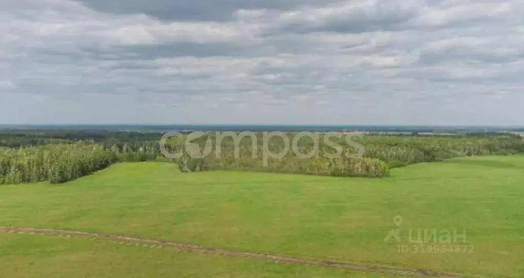 Участок в Тюменская область, Тюменский район, с. Горьковка Сибирская ... - Фото 0