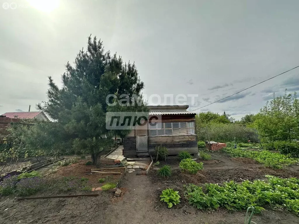 Дом в муниципальный округ Омский район, село Дружино (17.8 м) - Фото 1